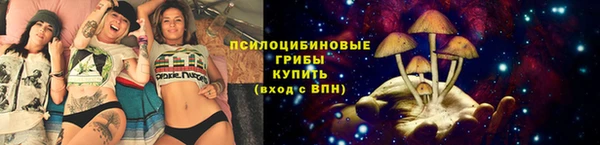 гашик Армянск