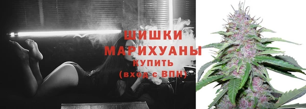 бутират Арсеньев