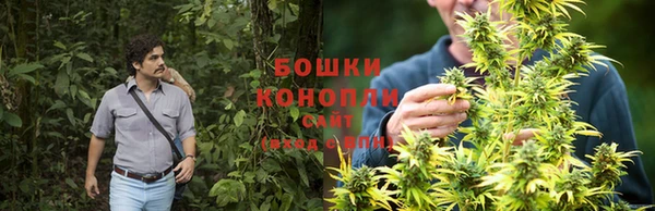 бутират Арсеньев